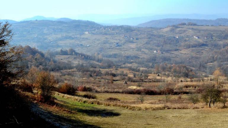 Toplița Mureșului